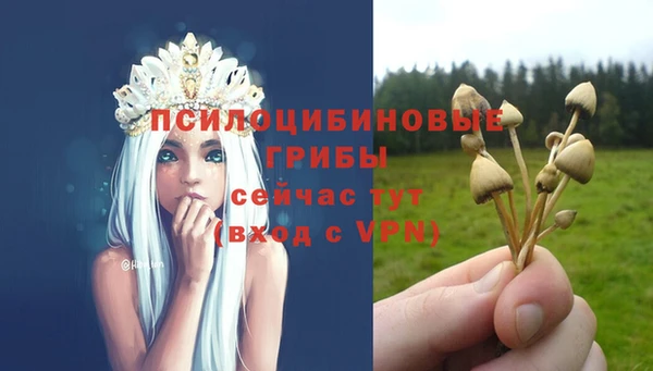 дурь Воткинск