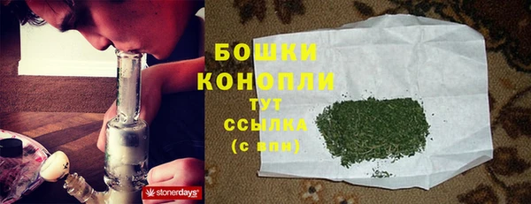 трава Берёзовка