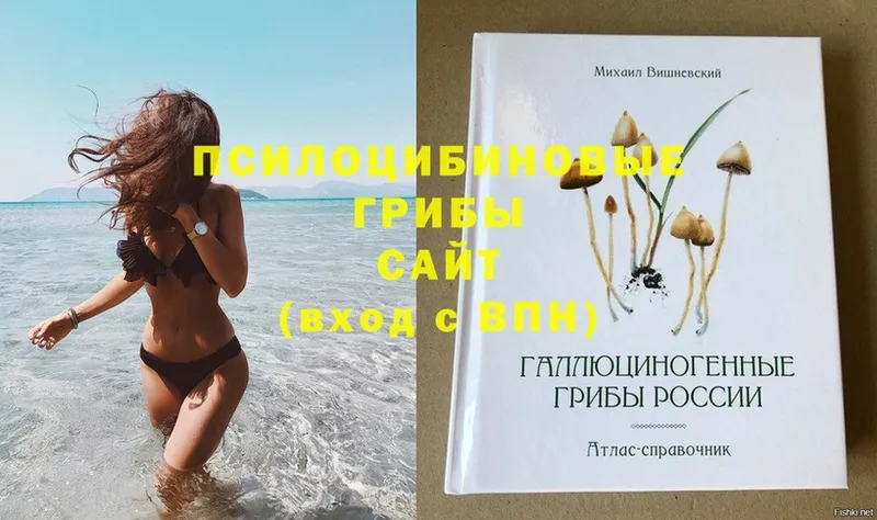 Псилоцибиновые грибы GOLDEN TEACHER  где продают   это телеграм  Калуга 