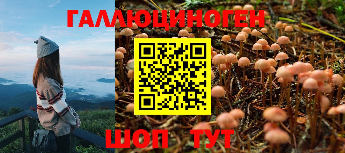Калуга  где купить наркоту  Вход с VPN  Галлюциногенные грибы Psilocybe 