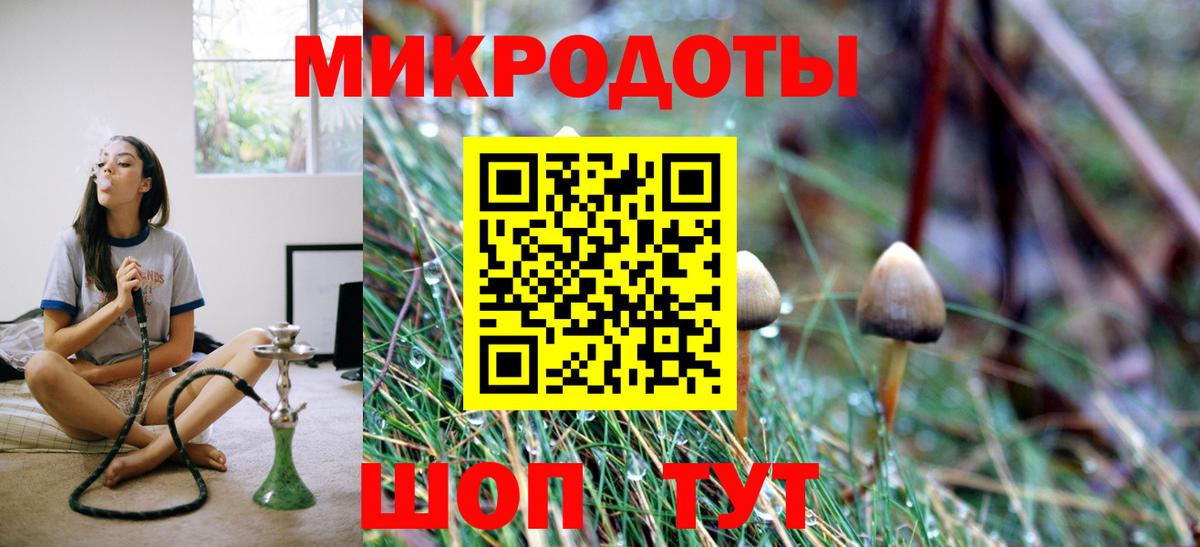 Псилоцибиновые грибы GOLDEN TEACHER Калуга