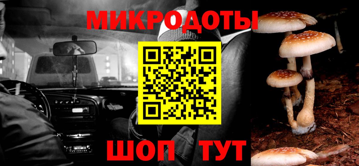 Псилоцибиновые грибы Magic Shrooms Калуга