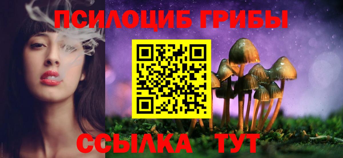 Псилоцибиновые грибы Psilocybine cubensis  хочу наркоту  Галлюциногенные грибы прущие грибы  Калуга 